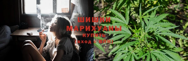 ALPHA PVP Магас